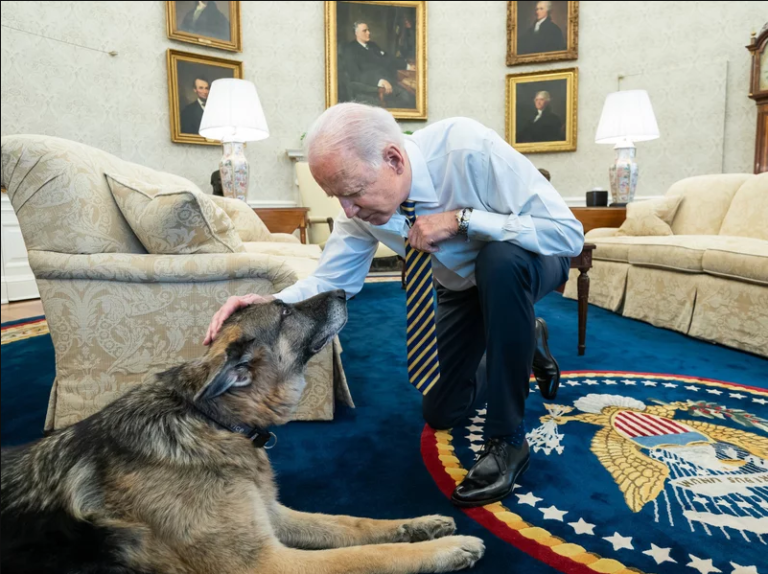 US President Biden announces death of family dog, Champ | Benefit Boys